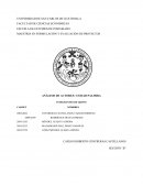 ANÁLISIS DE ACTORES: CIUDAD PALMIRA