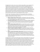 Vegetarianismo: razones para olvidarse de la carne