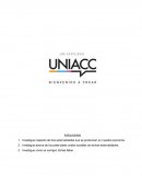Desarrollo económico-externalidades