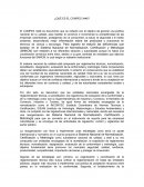 Ensayo sobre document compes 3446