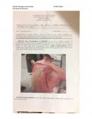 Caso Medicina forense, Universidad Anáhuac México Sur