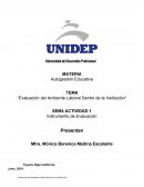 Evaluación del ambiente laboral dentro de la institución