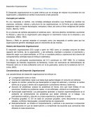 Desarrollo Organizacional. Concepto por autores