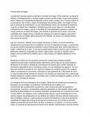 Ensayo sobre la imagen