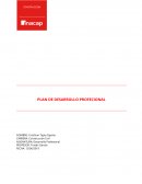PLAN DE DESARROLLO PROFECIONAL
