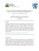 CÉLULAS EUCARIOTAS Y PROCARIOTAS: RECONOCIMIENTO DE CÉLULAS VEGETALES – ANIMALES – LACTOBACILOS Y CIANOBACTERIAS. Nº 1