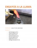 ENSAYOS A LA LLAMA