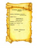 PRACTICA N° II. CAMPO ELÉCTRICO