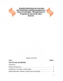 Efectos del matrimonio