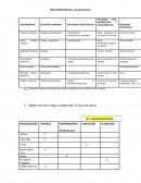 TRABAJO PRÁCTICO N° 1 “Las Organizaciones”