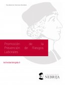 PREVENCION RIESGOS LABORALES