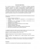 Funciones de los Delegados Ministeriales