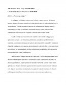 Qué es eso que se llama Pedagogía