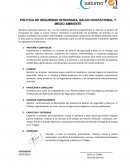 Caso Servicios Generales Saturno S.A