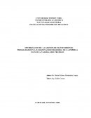 OPTIMIZACION DE LA GESTION DE MANTENIMIENTO PROGRAMADO EN LAS MAQUINAS DECORADORAS DE LA EMPRESA FAVIANCA, VALERA, EDO. TRUJILLO