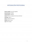 Integración Profesional