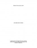 PROYECTO DE APLICACIÓN Zapatos del sur S.L