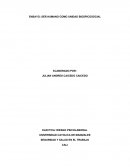 SER HUMANO COMO UNIDAD BIOSPICOSOCIAL