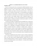 MICOTA Y LA MATERIA ORGÁNICA EN EL SUELO