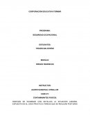 Trabajo de Seguridad Ocupacional