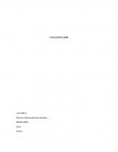 La película el remanente