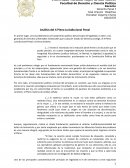 Análisis del X Pleno Jurisdiccional Penal