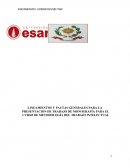 LINEAMIENTOS Y PAUTAS GENERALES PARA LA PRESENTACIÓN DE TRABAJO DE MONOGRAFÍA PARA EL CURSO DE METODOLOGÍA DEL TRABAJO INTELECTUAL