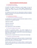 Resumen de manual introductorio del derecho peruano