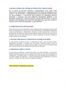 MEJORA CONTINUA DEL SISTEMA DE PRODUCCIÓN Y SERVICIO MARIO