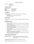 Descripción Gerente de Personas