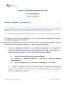 Trabajo Practico Final Bloque 1 Aeronavegantes