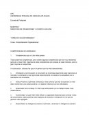 Competencias de Lider