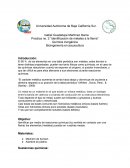 Practica no. 2 “identificación de metales a la flama”