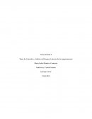 Tarea Semana 4 Tipos de Controles y Análisis de Riesgos al interior de las organizaciones