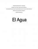 La importancia del agua