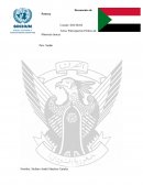 Participación Política de Minorías étnicas