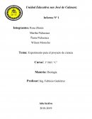 Experimento para el proyecto de ciencia