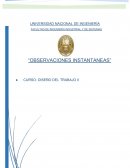 OBSERVACIONES-INSTANTANEAS