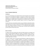 EL PROCESO TERAPÉUTICO