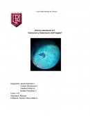 Informe Laboratorio N°1: “Extracción y Observación ADN Vegetal”