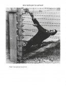 Una razon por la cual vivir