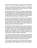 Ensayo procesos de negocios y sistemas de información