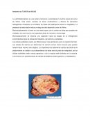 Anatomía de TUMOR de WILMS