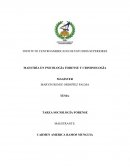 TAREA PSICOLOGIA FORENSE Y CRIMINAL