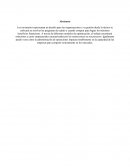 Administracion de operaciones. Problemas