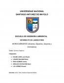 INFORME Nº3 DE LABORATORIO HIDROCARBUROS (Alcanos, Alquenos, Alquinos y Aromaticos)