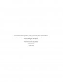 Termodinámica: temperatura, calor y primera ley de la termodinámica