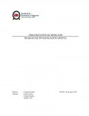 ORGANIZACION DE MERCADO