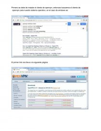Cliente VPN. Página 1