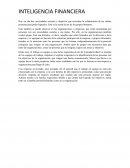 INTELIGENCIA FINANCIERA